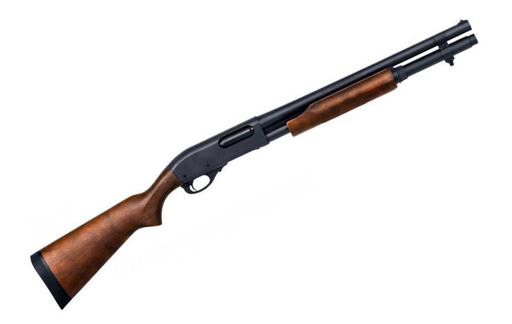 Best Remington 870 Ammo